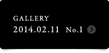 Gallery 2014.02.11-1