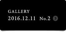 Gallery 2016.12.11-2